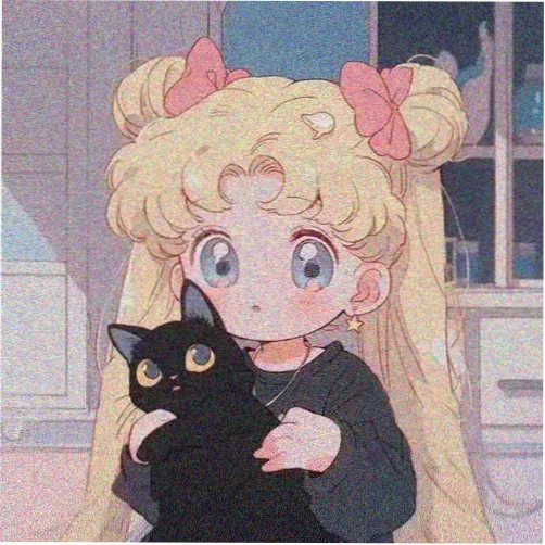 用户 海雾里的猫 的头像